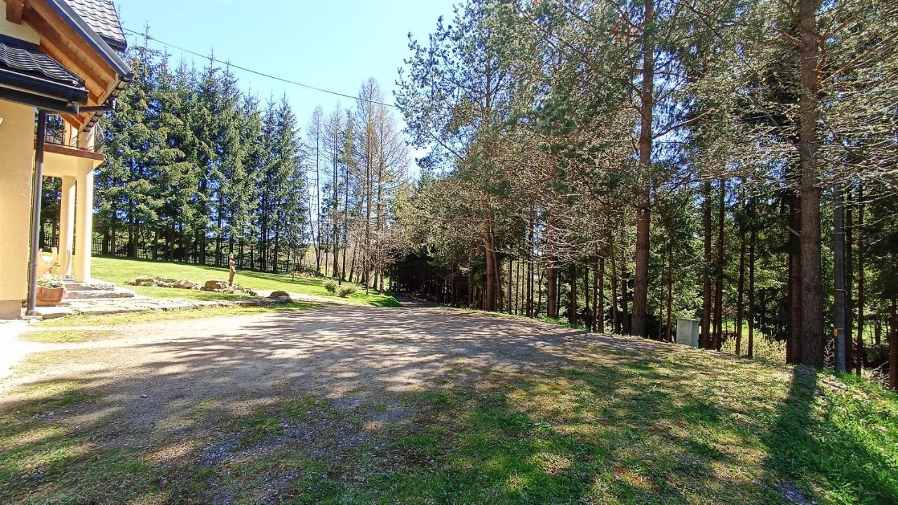 Penzion Zacisze Drwala Lutowiska Exteriér fotografie