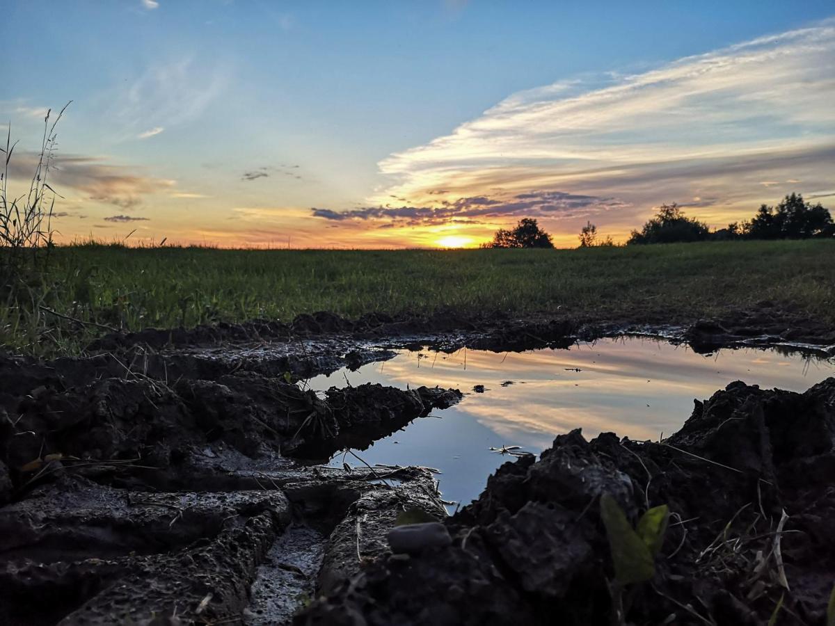 Penzion Zacisze Drwala Lutowiska Exteriér fotografie