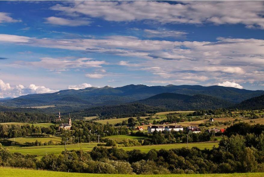 Penzion Zacisze Drwala Lutowiska Exteriér fotografie