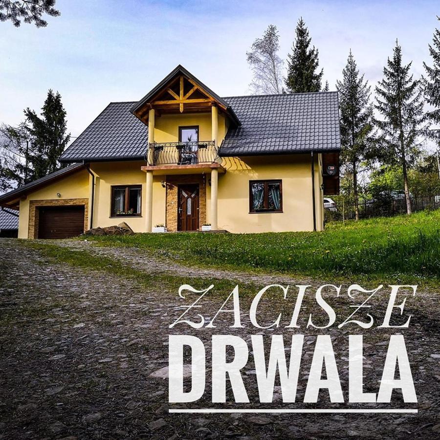 Penzion Zacisze Drwala Lutowiska Exteriér fotografie